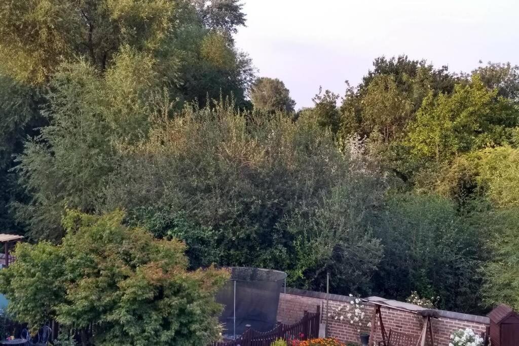 Luxury Townhouse In Town Centre, Views, River Walk, Free Parking Shrewsbury Eksteriør billede
